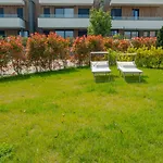 D'oro - Italian Homing Desenzano del Garda